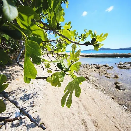 Mobile Smaragd Biograd Na Moru
