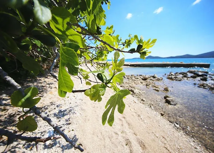 Mobile Smaragd Biograd Na Moru